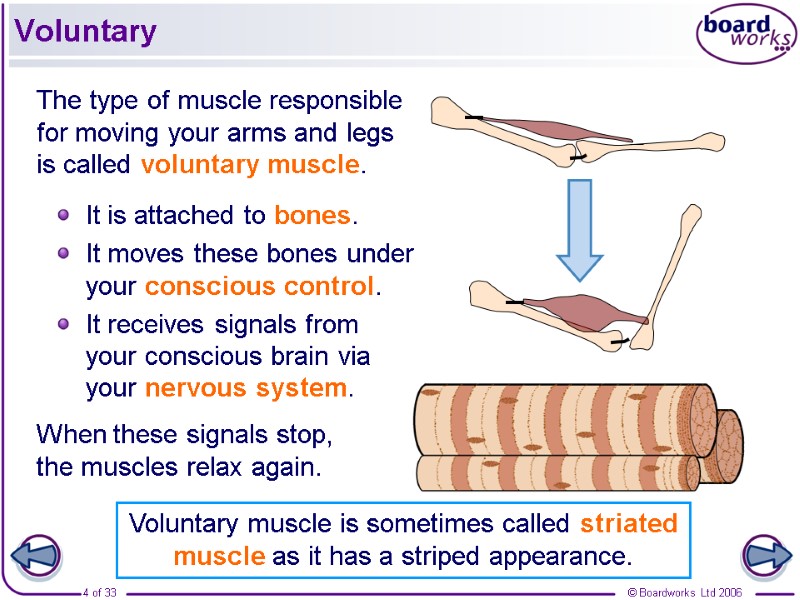 Voluntary The type of muscle responsible for moving your arms and legs is called